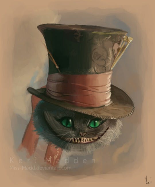 Cheshire Cat t shirt graphics