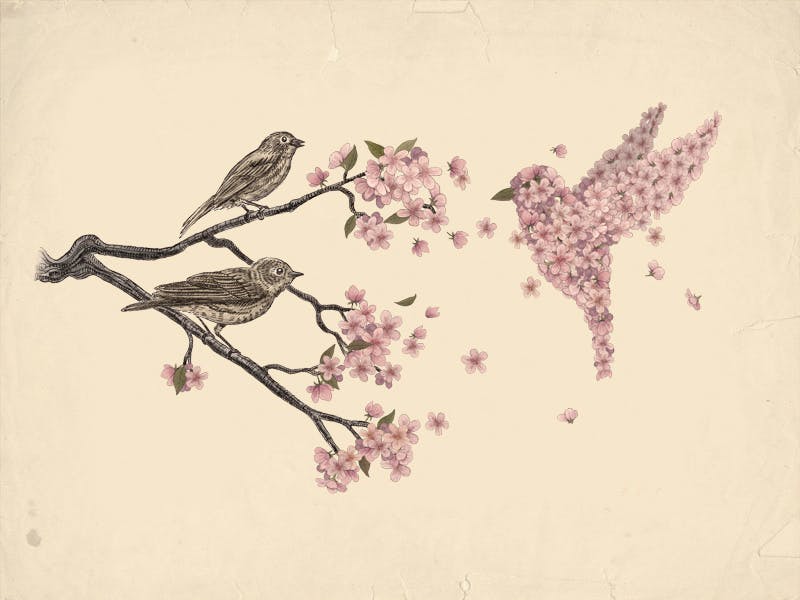 "Blossom Bird"