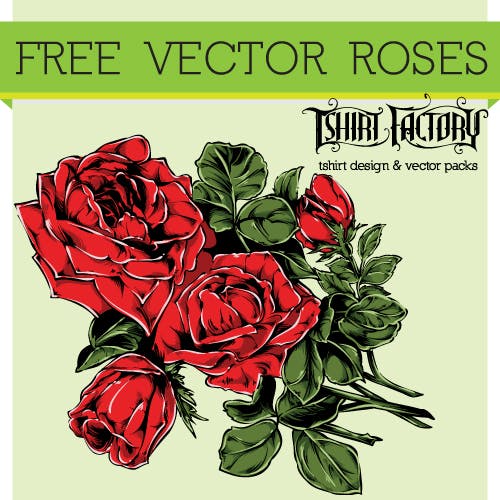 free vector roses