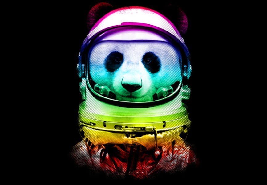 Panda T-shirts Designbyhumans