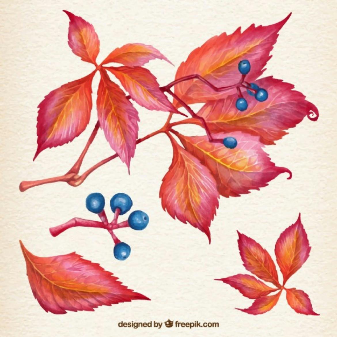 wpid-natural-autumn-leaves_23-2147520419-1170x1170